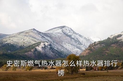  史密斯燃?xì)鉄崴髟趺礃訜崴髋判邪? class=