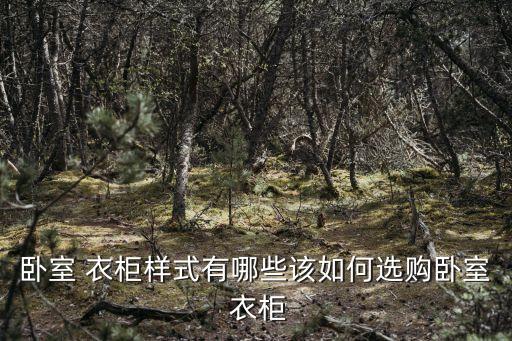 小戶型衛(wèi)浴衣柜設(shè)計圖片,衣柜內(nèi)部設(shè)計圖片大全 效果圖小戶型