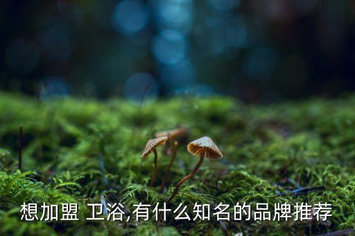 想加盟 衛(wèi)浴,有什么知名的品牌推薦