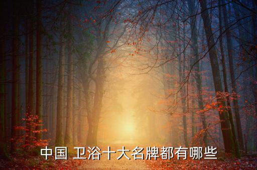 東浴衛(wèi)浴有這個品牌嗎,eoeo衛(wèi)浴這個品牌怎么樣