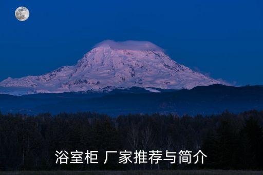 浴室柜 廠家推薦與簡介