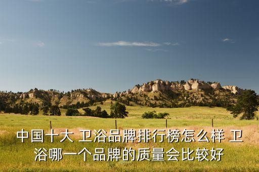 中國十大 衛(wèi)浴品牌排行榜怎么樣 衛(wèi)浴哪一個品牌的質(zhì)量會比較好