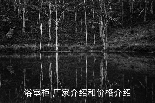 衛(wèi)浴鏡片定制廠家電話號碼