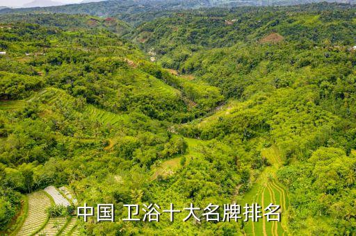 中國 衛(wèi)浴十大名牌排名