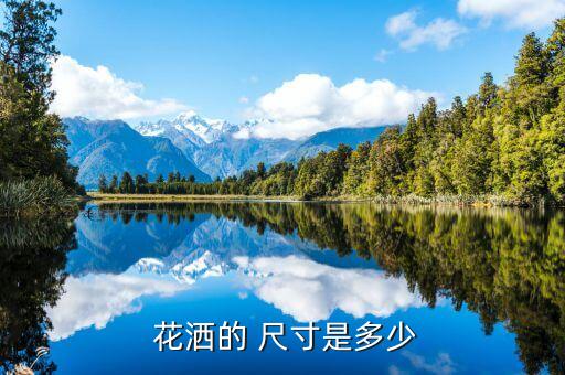  花灑的 尺寸是多少