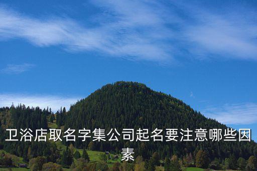 衛(wèi)浴店取名字集公司起名要注意哪些因素