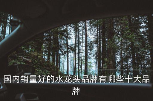 國內(nèi)銷量好的水龍頭品牌有哪些十大品牌
