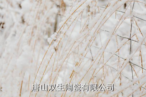 唐山雙生陶瓷有限公司
