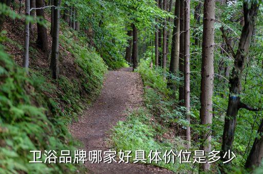 衛(wèi)浴產(chǎn)品組合圖片價格