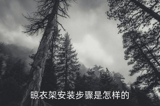 衛(wèi)浴衣服架安裝位置圖片,衛(wèi)浴五金安裝正確位置