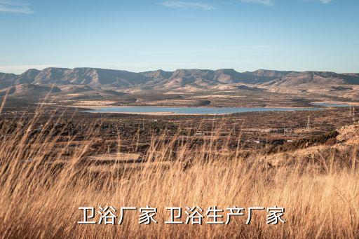  衛(wèi)浴廠(chǎng)家 衛(wèi)浴生產(chǎn)廠(chǎng)家