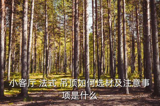 小客廳 法式 吊頂如何選材及注意事項(xiàng)是什么