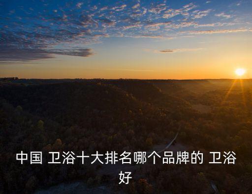 整體衛(wèi)浴品牌影響力如何