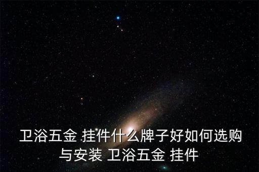  衛(wèi)浴五金 掛件什么牌子好如何選購與安裝 衛(wèi)浴五金 掛件
