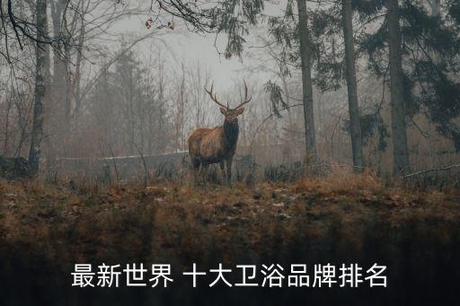 十大必買衛(wèi)浴店家具圖片