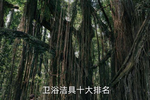  衛(wèi)浴潔具十大排名
