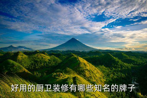 好用的廚衛(wèi)裝修有哪些知名的牌子