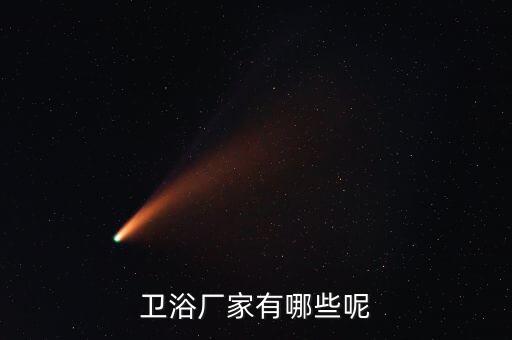 法恩莎衛(wèi)浴代理地址
