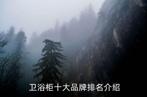  衛(wèi)浴柜十大品牌排名介紹