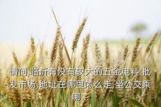 請(qǐng)問 臨沂有沒有較大的五金電料 批發(fā)市場(chǎng),地址在哪里怎么走,坐公交乘哪...