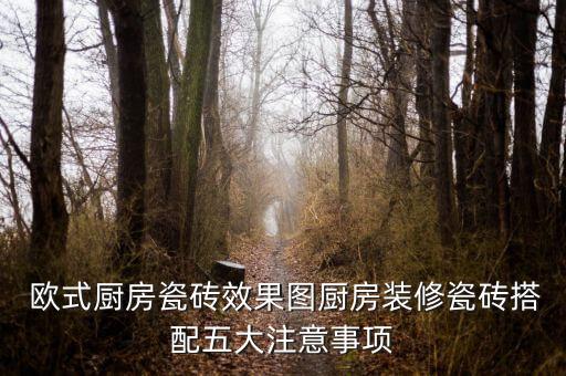  歐式廚房瓷磚效果圖廚房裝修瓷磚搭配五大注意事項(xiàng)