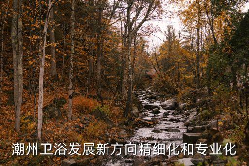 潮州衛(wèi)浴發(fā)展新方向精細(xì)化和專業(yè)化