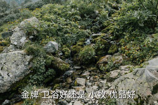 金牌 衛(wèi)浴好還是 小牧 優(yōu)品好