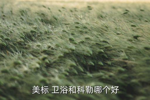 福州美標(biāo)衛(wèi)浴品牌介紹,美標(biāo)衛(wèi)浴屬于什么檔次的品牌