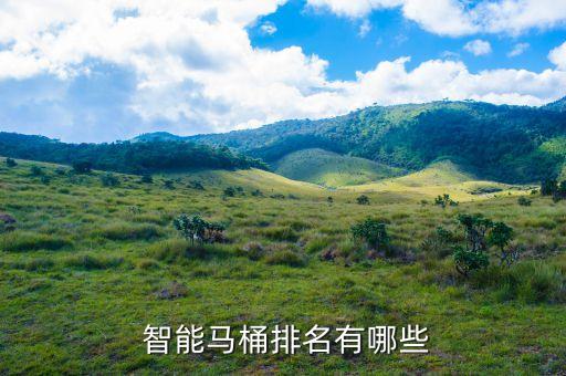 智能衛(wèi)浴品牌功能介紹,中國十大智能衛(wèi)浴品牌排行榜