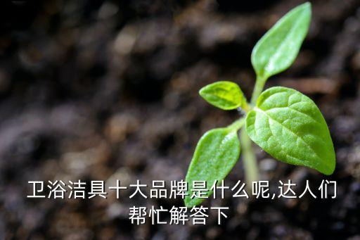  衛(wèi)浴潔具十大品牌是什么呢,達(dá)人們幫忙解答下