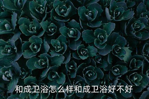 和成衛(wèi)浴怎么樣和成衛(wèi)浴好不好