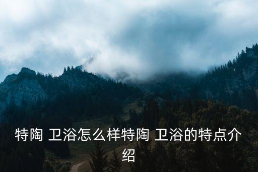 特陶 衛(wèi)浴怎么樣特陶 衛(wèi)浴的特點介紹
