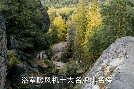 浴室暖風(fēng)機(jī)十大名牌排名榜