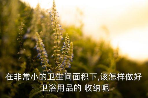 衛(wèi)浴浴室收納圖片,浴室收納架圖片大全