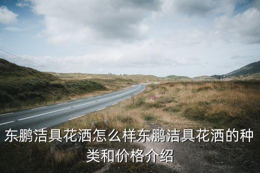 東鵬潔具花灑怎么樣?xùn)|鵬潔具花灑的種類和價格介紹