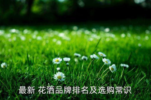 最新 花灑品牌排名及選購常識