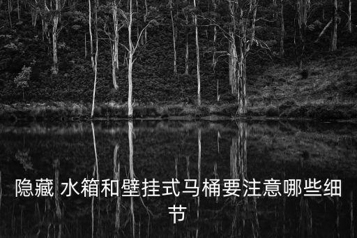 隱藏 水箱和壁掛式馬桶要注意哪些細(xì)節(jié)