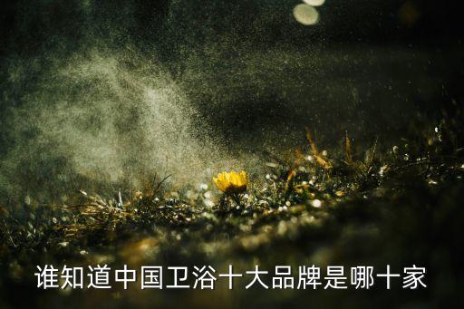 誰(shuí)知道中國(guó)衛(wèi)浴十大品牌是哪十家