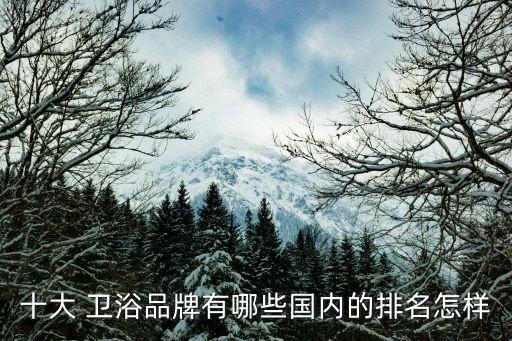 十大 衛(wèi)浴品牌有哪些國內(nèi)的排名怎樣
