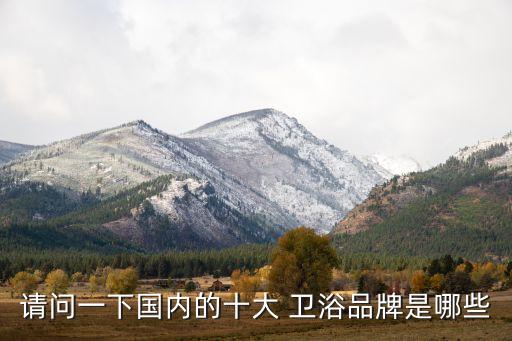 請問一下國內(nèi)的十大 衛(wèi)浴品牌是哪些