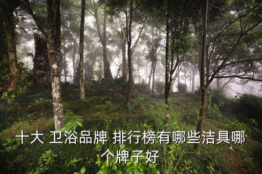 十大 衛(wèi)浴品牌 排行榜有哪些潔具哪個(gè)牌子好