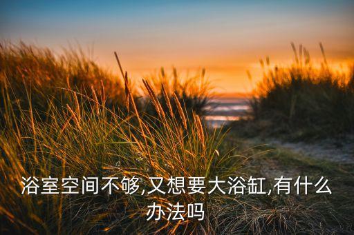 老年衛(wèi)浴設(shè)計(jì)折疊柜圖片