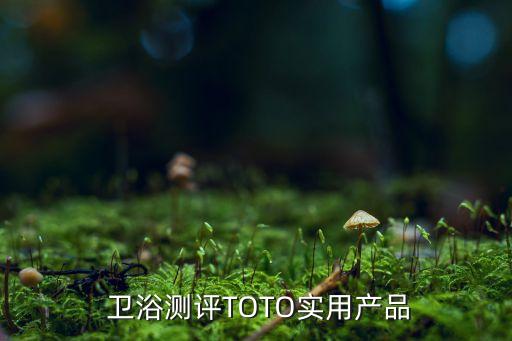  衛(wèi)浴測(cè)評(píng)TOTO實(shí)用產(chǎn)品