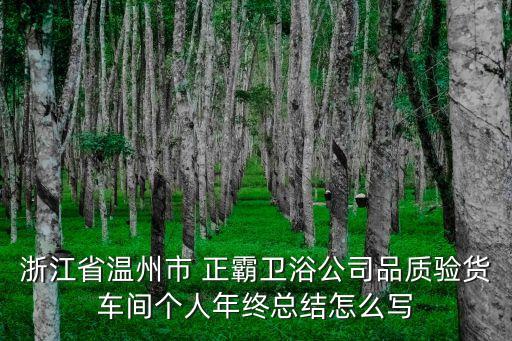 浙江省溫州市 正霸衛(wèi)浴公司品質(zhì)驗(yàn)貨車間個(gè)人年終總結(jié)怎么寫(xiě)