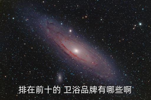 排在前十的 衛(wèi)浴品牌有哪些啊