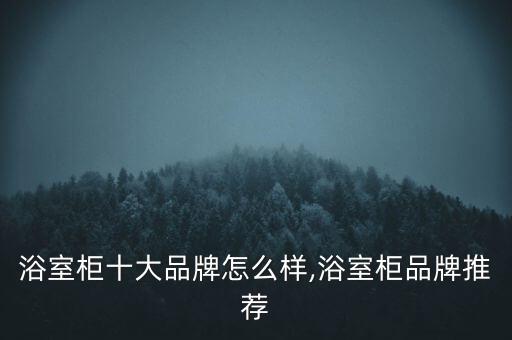 韶關(guān)加盟衛(wèi)浴品牌,衛(wèi)浴招商加盟什么品牌好
