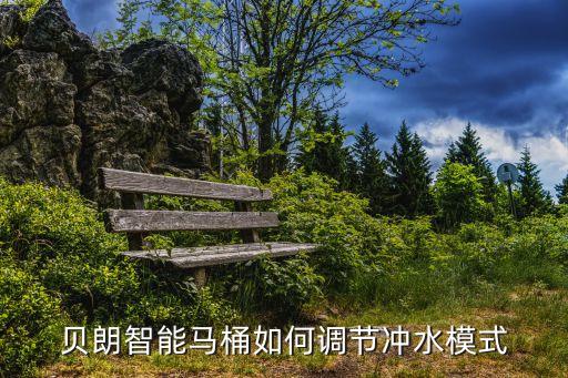 貝朗智能馬桶如何調(diào)節(jié)沖水模式
