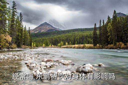 經(jīng)常喝 東鵬特飲對身體有影響嗎