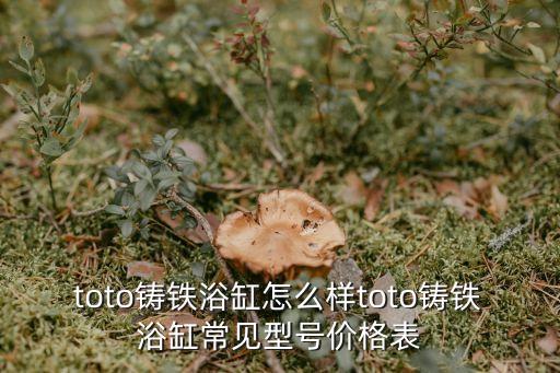 柳河衛(wèi)浴價格表及圖片,過江龍衛(wèi)浴價格表圖片