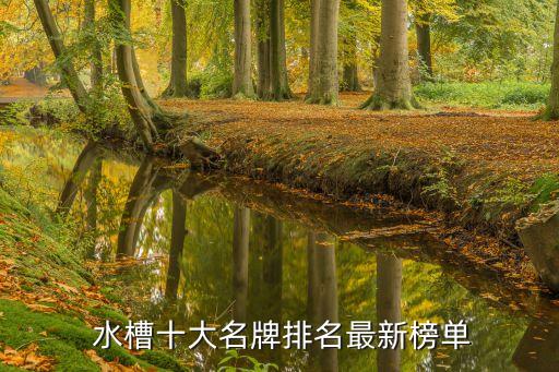 水槽衛(wèi)浴什么品牌好一點(diǎn),plados水槽什么品牌